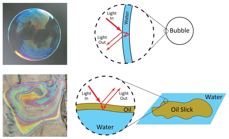 Soap bubbles and oil slicks show structural color