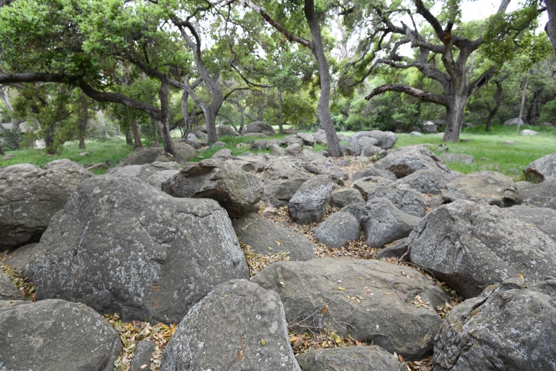 boulders in Rocky Nook Park