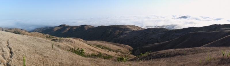 Santa Rosa Island view of ridge with encroaching marine layer
