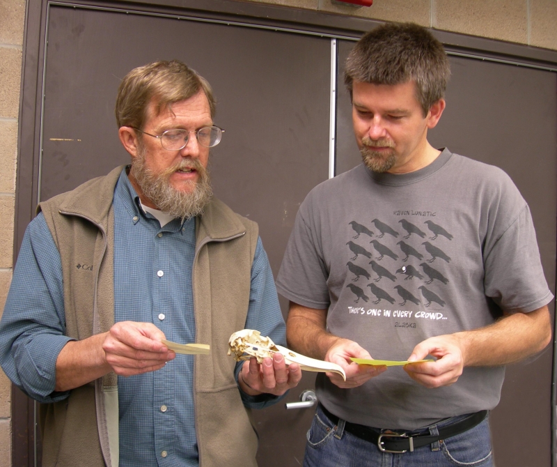 Collins and Zyskowski Yale Peabody Museum with albatross