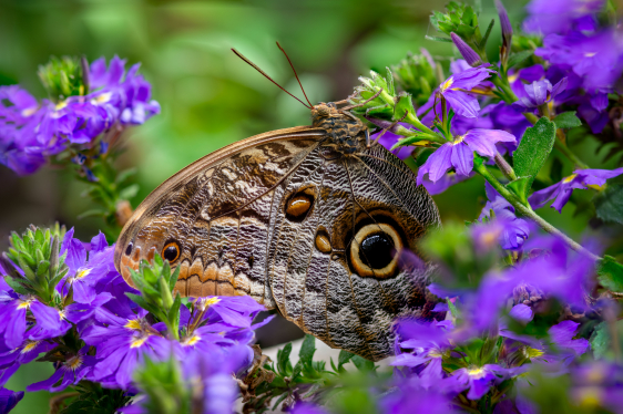 Feature image