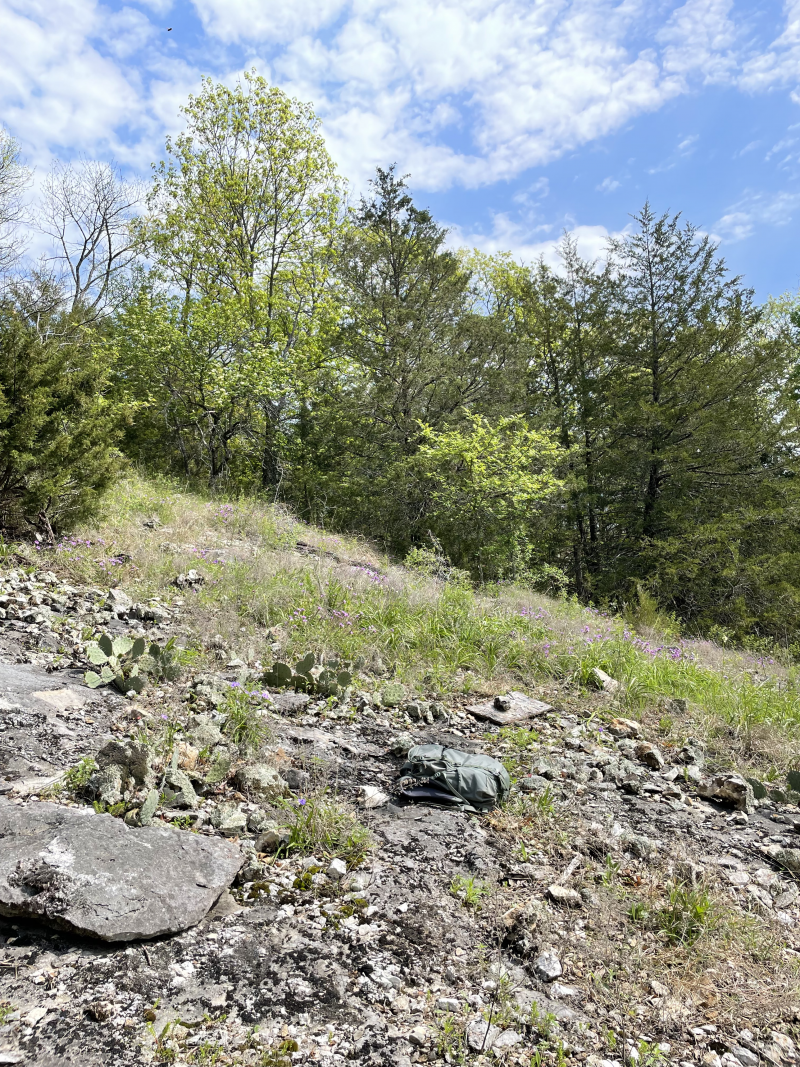 A landscape with rocks and cacti in the foreground and shrubs and trees in the background. There's a backpack hidden among the rocks, too.