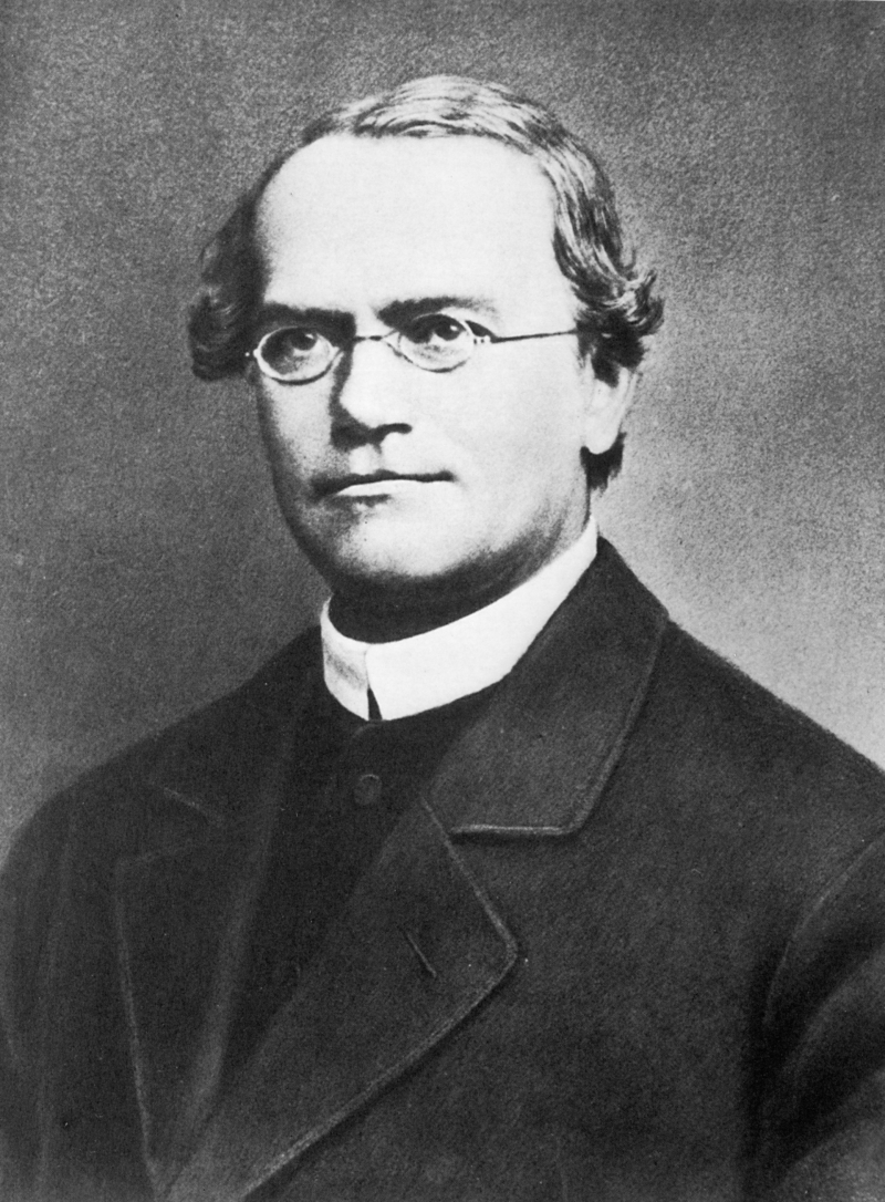 An early black and white photograph of a man wearing a clerical collar and spectacles