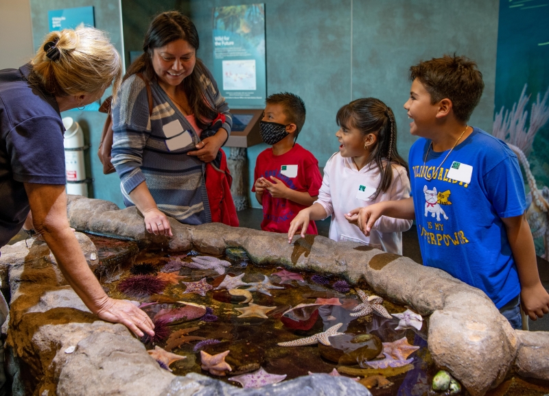 Guests enjoy meeting sea stars at the Sea Center