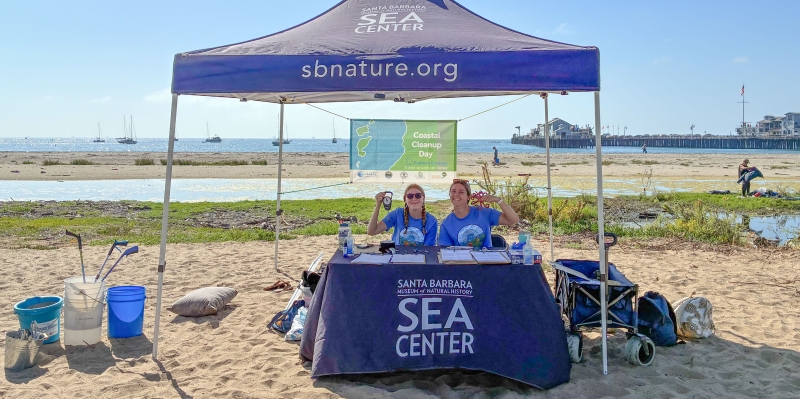 A sunny beach scene with Stearns Wharf in the background and smiling Sea Center staff under a pop-up tent in the foreground