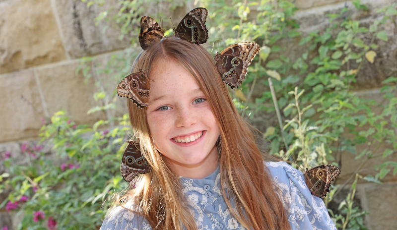 Young girl visiting Butterflies Alive! exhibit with butterflies resting on her hair.