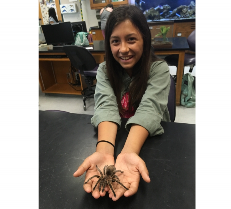 Highschool hook up tarantula