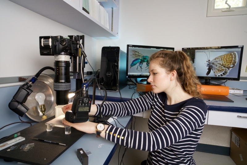 Lucie Gimmel at work photo by Daniel Geiger