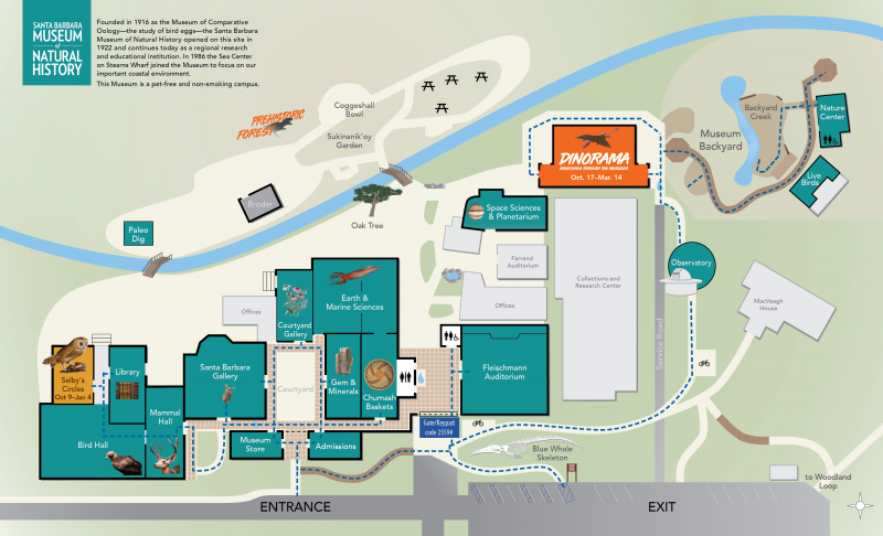 A map showing ADA-accessible paths of travel at the Museum