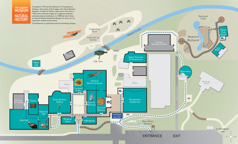 A map showing ADA-accessible paths of travel at the Museum