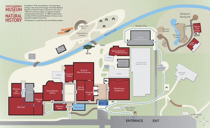 A map showing ADA-accessible paths of travel at the Museum