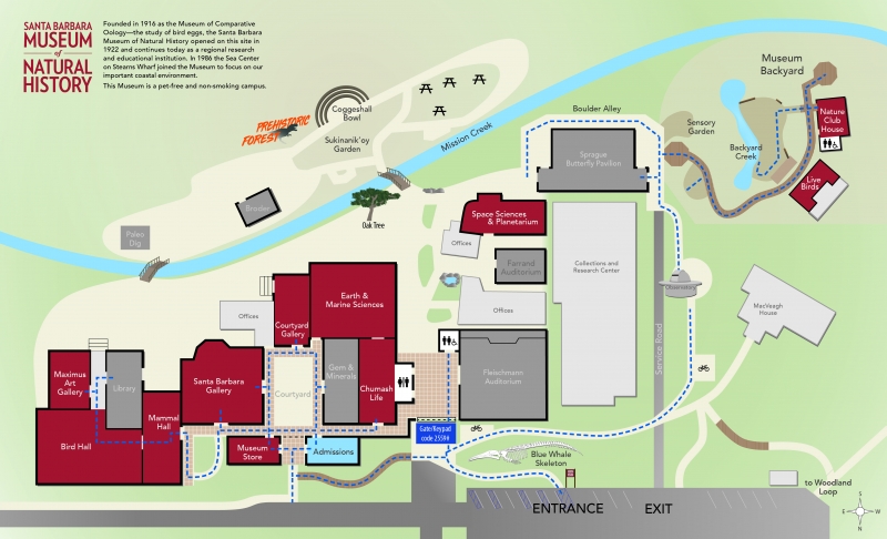 A map showing ADA-accessible paths of travel at the Museum