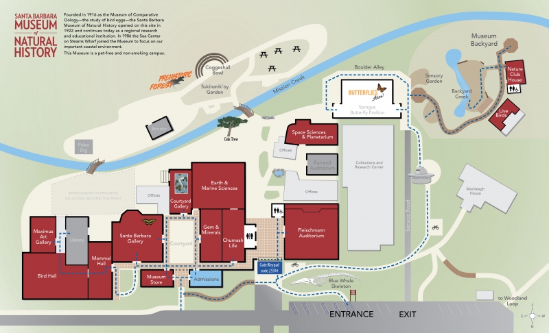 A map showing ADA-accessible paths of travel at the Museum