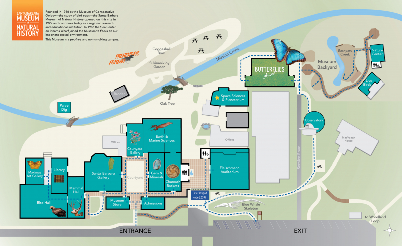 A map showing ADA-accessible paths of travel at the Museum