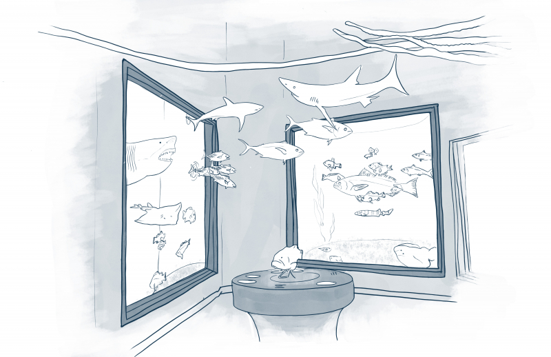 Marine Science Sketch