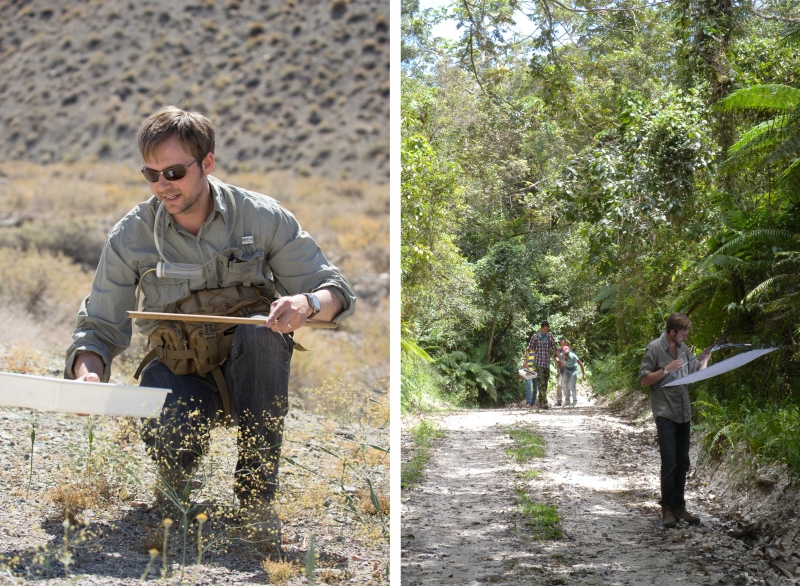 Dr. Matt Gimmel collecting in field