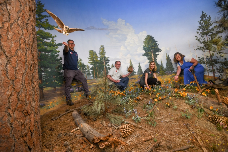 Francisco Lopez Frank Hein Florine de With Debra Darlington exhibits staff in mountain meadow diorama