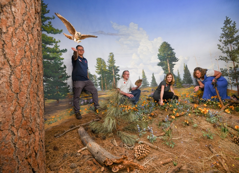 Exhibits staff in Santa Barbara Gallery