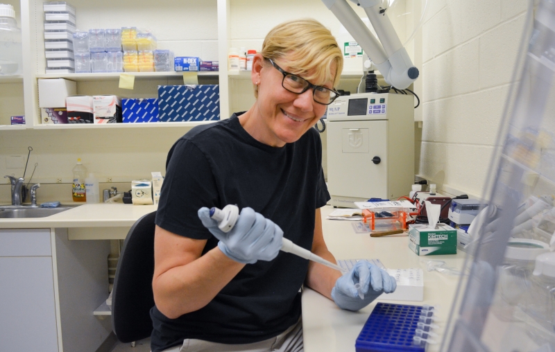 Research Associate Chris Thacker prepares a tissue sample from an Australian stream fish for sequencing