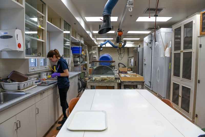 Schorr working at the sink in the side lab, which has a wide, white table and a lot of technical equipment