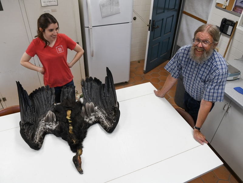Julia Schorr and Paul Collins looking up with the in-process study skin on the table