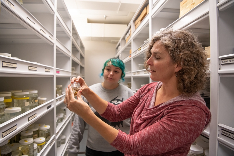 Dr. Maupin at right inspects a jar in the spider collection as SBMNH Naturalist Dylan Otte looks on