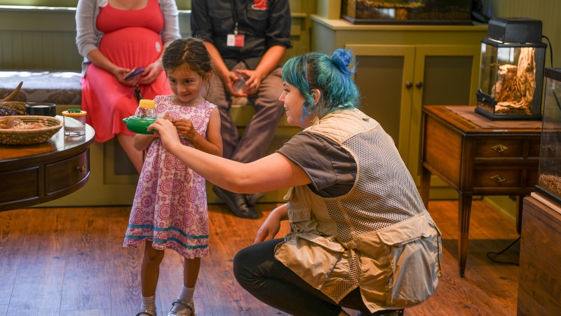 In her work as a Backyard Naturalist at the Museum, Otte helps visitors overcome their own learned fears, introducing them to our friendly creepy crawlies.