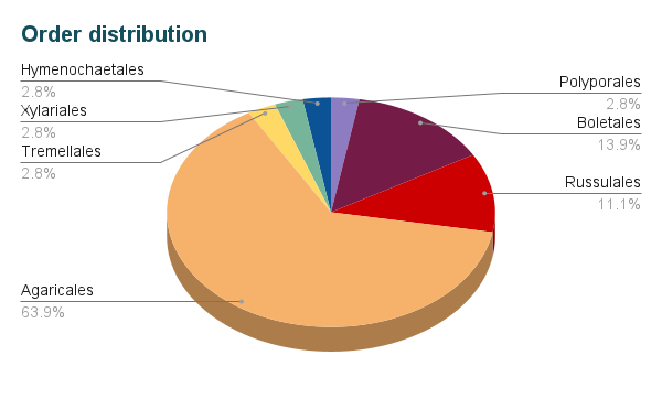 A multicolored pie chart titled “Order distribution.” There are six slices: Agaricales, with 63.9%; Russulales, with 11.1%; Boletales, with 13.9%; Polyporales, with 2.8%; Hymenochaetales, with 2.8%; Xylariales, with 2.8%; Tremellales, with 2.8%.