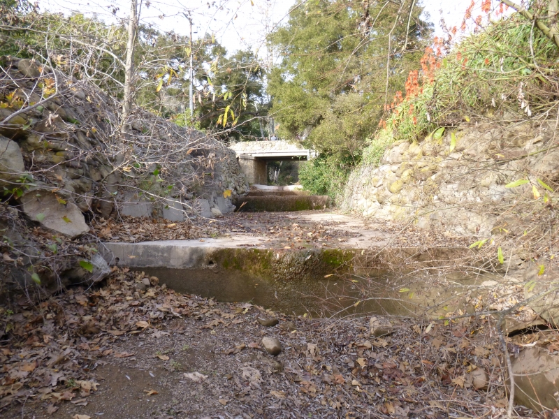 Upper Carpinteria Creek before restoration