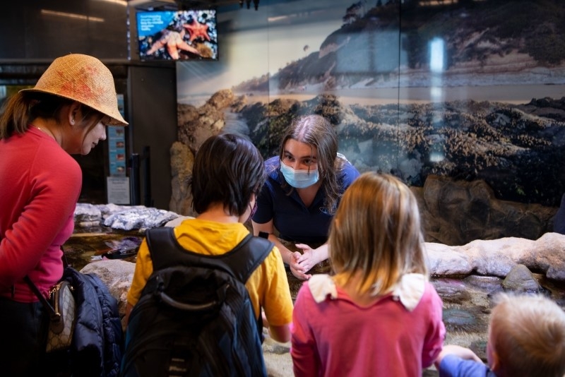 Teen volunteering at the Sea Center 