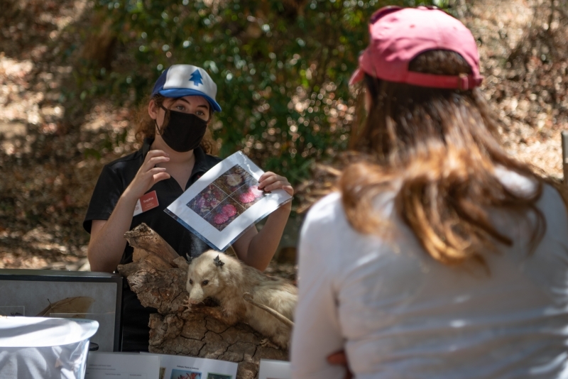 VolunTEENS presenting tours to museum guests