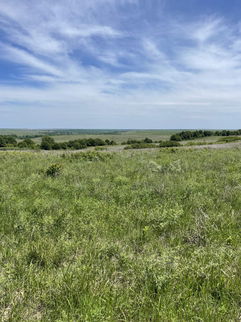 A green grassy field extends far into the distance, under a blue sky with streaky white clouds.