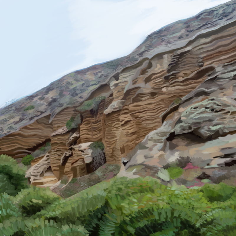 A low-angle digital illustration of tall gray and brown striated Santa Rosa Island cliff sides, which are covered in plant life of various colors, done in a semi-realistic style. The cliffs stand out against a light-colored sky. There are green shrubs in the foreground. 