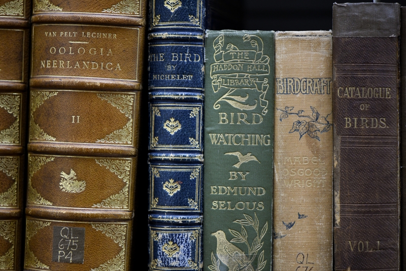bird books in SBMNH rare book room