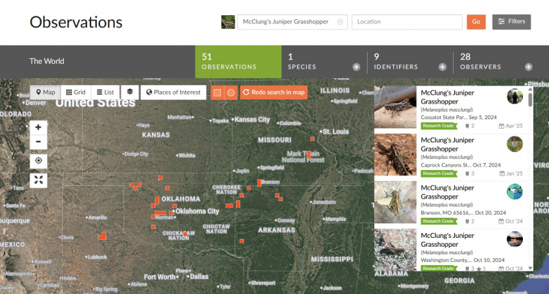 A screenshot from the online database iNaturalist shows a map with many orange points representing sightings of a grasshopper speices.
