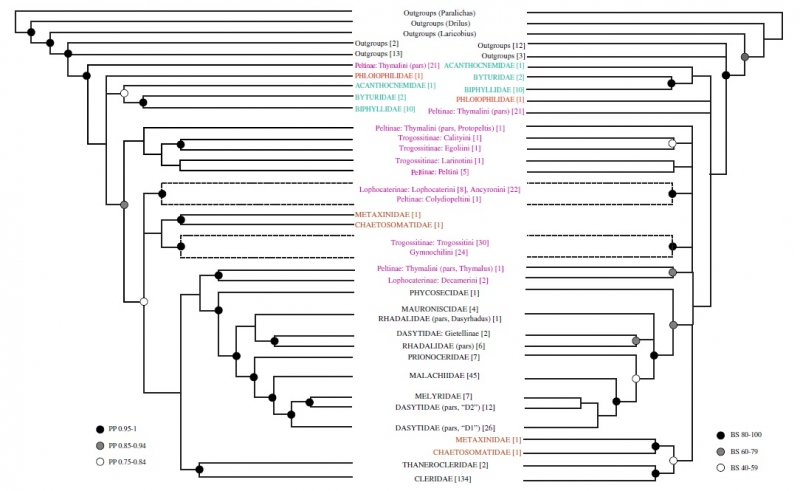 higher-level relationships in two analyses