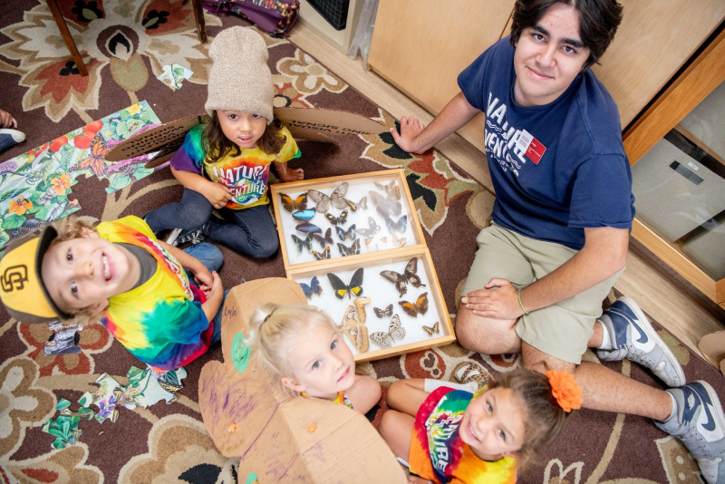 Teen counselor showcasing the Museum's Butterfly collection