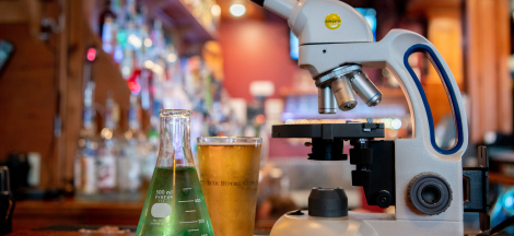 No Science Pub in August