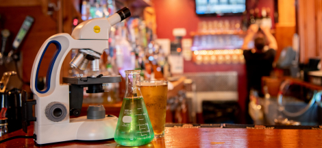 No Science Pub in August