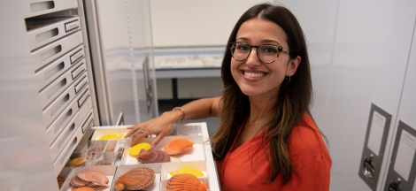Science on Site: Collection Curation Invertebrate Zoology