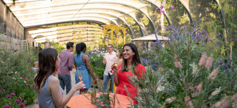 Members-only Nights in the Butterfly Pavilion