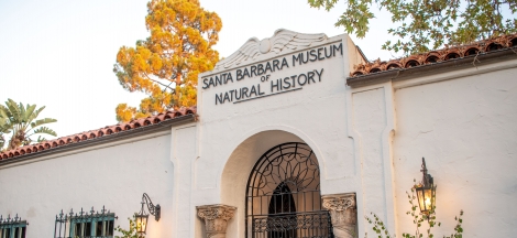 Free Admission Day