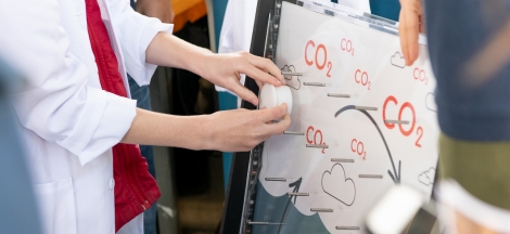 Portal to the Planet: Climate Feedback Loops