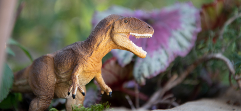 Dinorama Exhibit Opens to the Public