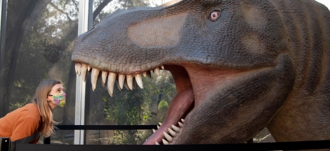 Conversations with a Curator - Digging Deep into Dinosaur Evolution