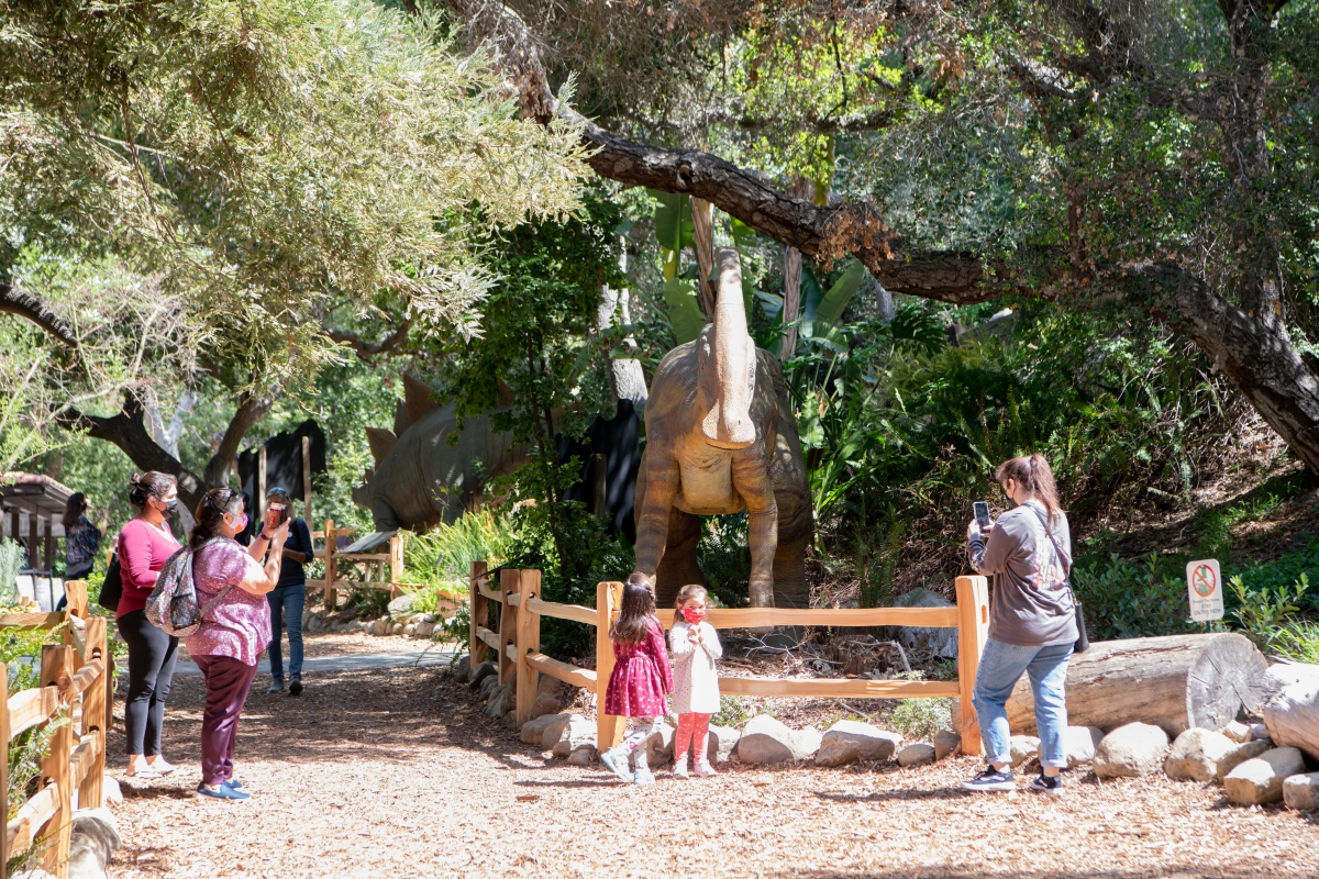 Prehistoric Forest Santa Barbara Museum Of Natural History staff-santa-barbara-museum-of-natural-history