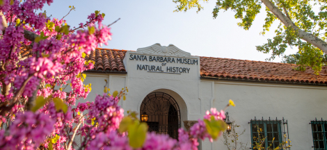 Blended Families, Balanced Estate Plans: Lunch & Learn Webinar