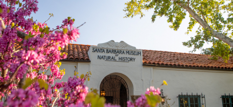 Mystery of Peru’s “Band of Holes”