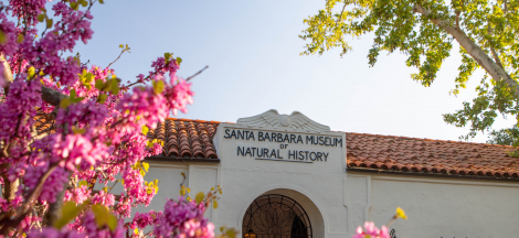 Calendar Santa Barbara Museum of Natural History