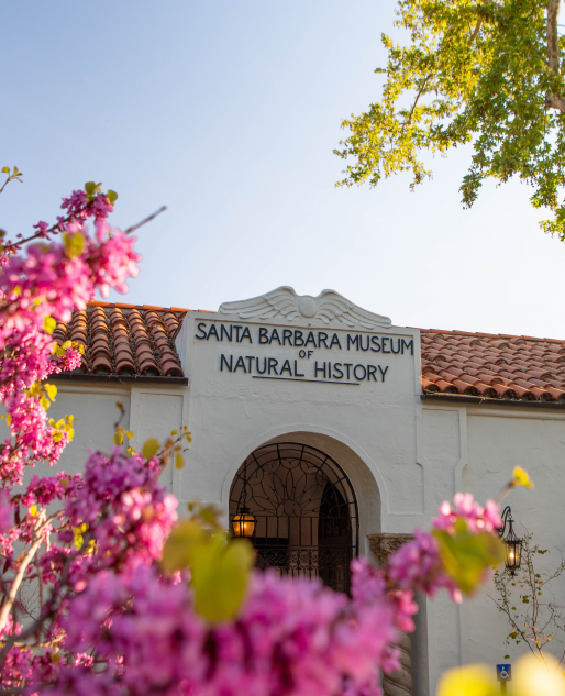 Image of the front of the Museum Entrance